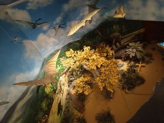 -安徽省地质博物馆