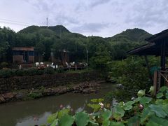-斐文野奢酒店·私房菜·轻吧