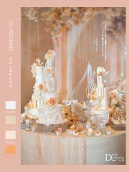 -DC大蔡婚礼策划(李公堤店)