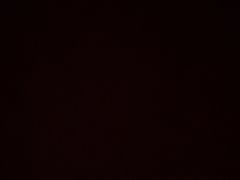 -桂花鸭(中华路总店)