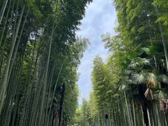 -黄公望隐居地