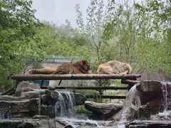 -北京野生动物园