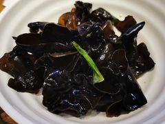 养生小木耳-老佛爷蛙锅•鲜蛙煲(麦凯乐店)