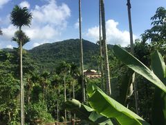 -海南槟榔谷黎苗文化旅游区