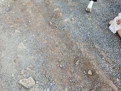 -长春奥林匹克公园