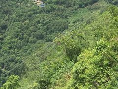 景点-九皇山景区