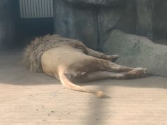 -南昌动物园