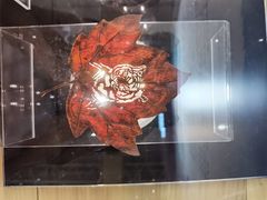 -宁波国际会展中心