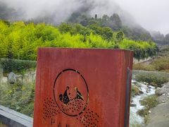 -卧龙中华大熊猫苑神树坪基地