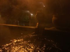 -中铁花水湾温泉酒店(大邑店)