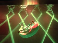 -芜湖新华联大白鲸海洋公园