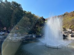 -北京西山国家森林公园