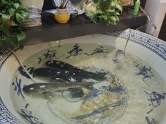 -南京金牛湖巨碗鱼头