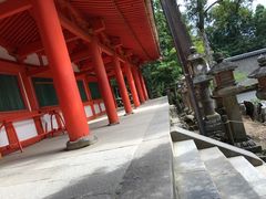 -奈良公园