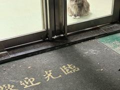 -美美宠物诊疗中心·异宠·骨科(滨江东信分院)