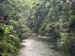 -广州市石门国家森林公园