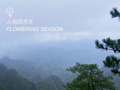 -塔云山