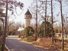 -东平国家森林公园