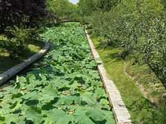 -上海交通大学(闵行校区)