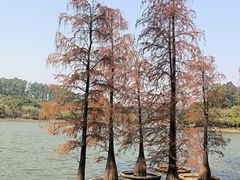 -南国桃园旅游度假区