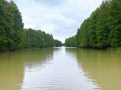 -上海海湾国家森林公园