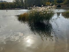 -太阳宫公园