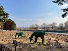 -羊亭河湿地公园