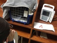 -美联众合动物医院·伴可分院·内科中心医院