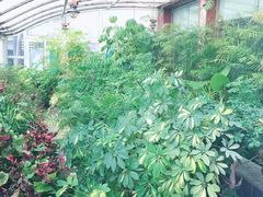 -上海市宝山区少年宫