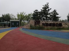 -东郊湿地公园