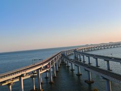 -南山鲜虾面·活鲜小馆·海味大连菜(南山总店)