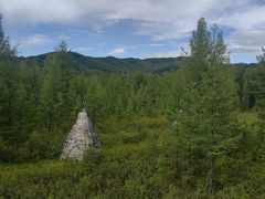 -莫尔道嘎国家森林公园