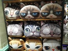 -猫咪博物馆(顶澳仔猫街店)