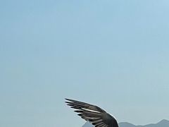-深圳湾公园(南山区)