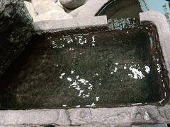 -牛吃草牛肉面(翠柏路店)