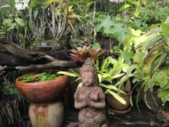 -自然餐厅(Phuket)