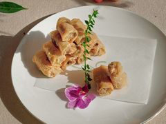 -甄御•海鲜新青岛菜(麦岛店)