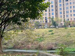 -两河城市森林公园