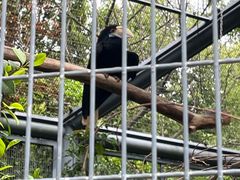 -上方山森林动物世界