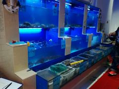 -劲莲舟山海鲜(东书房路店)