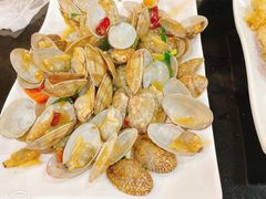 姜葱炒花蛤-潮州菜馆(十里河店)