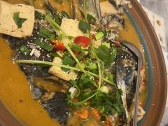 -新凯旋烧烤·燕姐千岛湖土菜