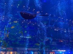 -成都浩海立方海洋公园