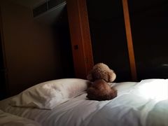 -上海崇明金茂凯悦酒店