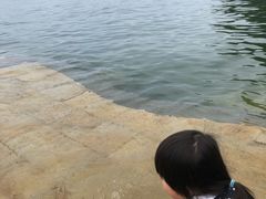 -羡餐厅·杭帮菜·淳菜(千岛湖自由洲际殿店)