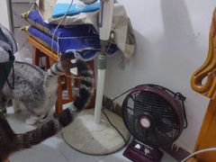 -张钰强中医正骨推拿连锁(唐家人才公寓店)