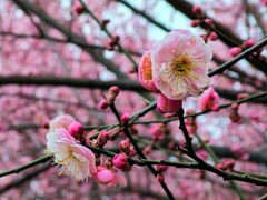 -渭河城市绿地运动公园