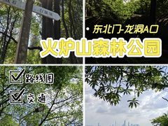 -火炉山森林公园