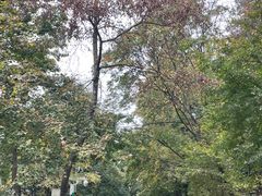 -广州市石门国家森林公园