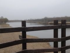 -西青郊野公园